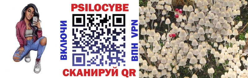 Псилоцибиновые грибы Psilocybine cubensis  хочу   Родники 