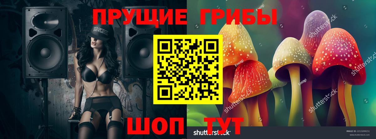Псилоцибиновые грибы GOLDEN TEACHER Родники