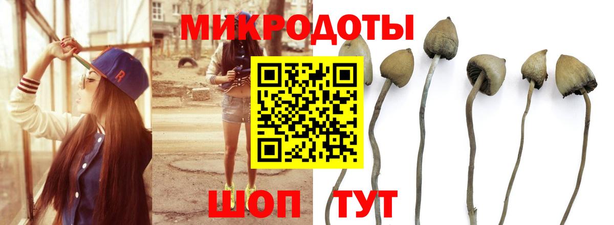 Псилоцибиновые грибы GOLDEN TEACHER  Вход с VPN  купить наркоту  Родники 